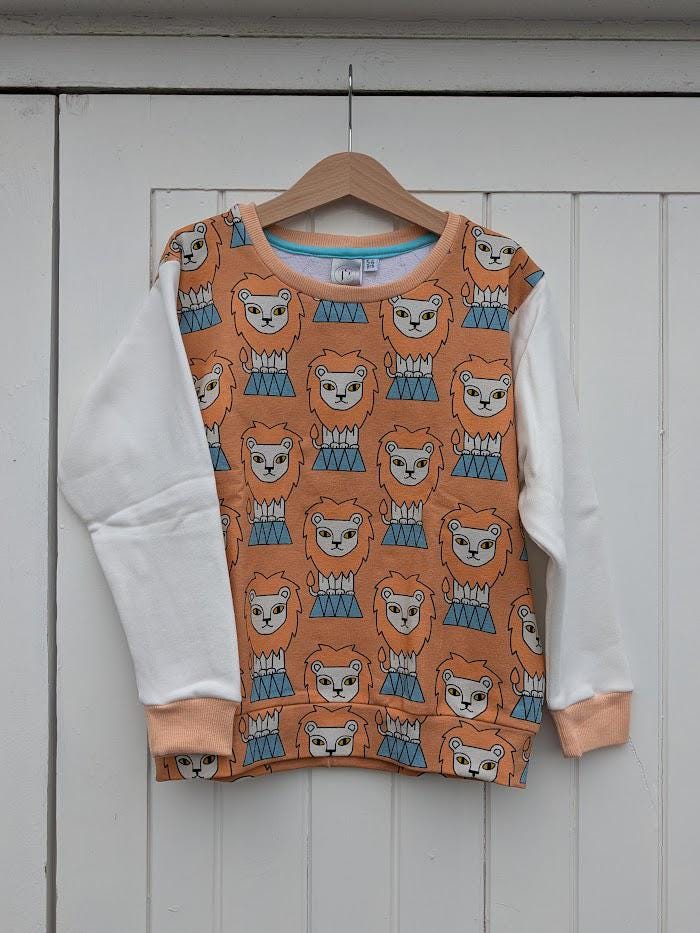 Children's Sweatshirt  soft cotton French Terry fabric In Tigers or Carousel print -0-6 years-Kid's-Gift