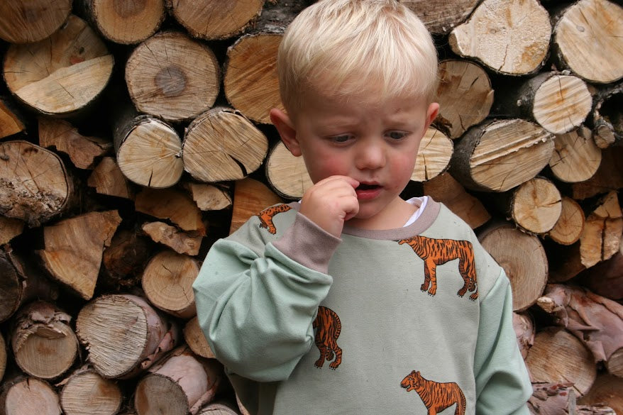 Children's Sweatshirt  soft cotton French Terry fabric in Tigers Print 0-6yrd Kid's-Gift