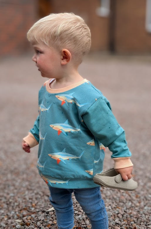 Children's Sweatshirt  soft cotton French Terry fabric fun Shark print in bright  cheerful colour 0-6yr Kid's-Gift-matching sibling