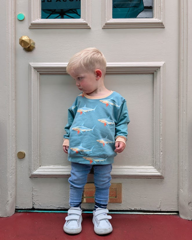 Children's Sweatshirt  soft cotton French Terry fabric fun Shark print in bright  cheerful colour 0-6yr Kid's-Gift-matching sibling
