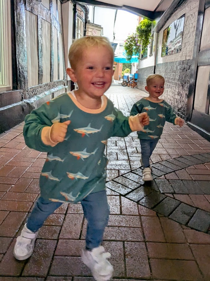 Children's Sweatshirt  soft cotton French Terry fabric fun Shark print in bright  cheerful colour 0-6yr Kid's-Gift-matching sibling