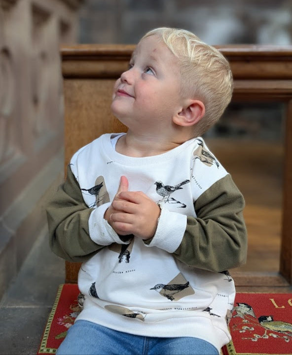 Children's Sweatshirt  soft cotton French Terry fabric in Ornithology Print 0-6yrd Kid's-Gift