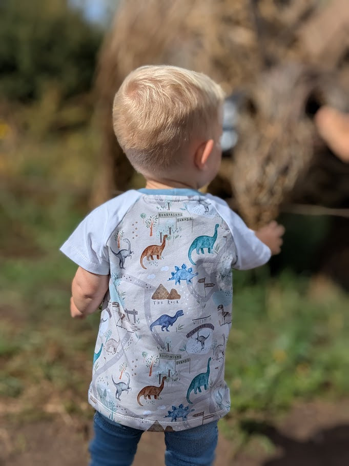 Children's T Shirt Dinasour Print  0-6yr Kid's-Children's Gift-matching sibling T Shirts Dinosaur themed Neutral colour print-Baby/Toddler