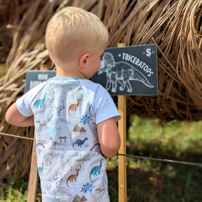 Children's T Shirt Dinasour Print  0-6yr Kid's-Children's Gift-matching sibling T Shirts Dinosaur themed Neutral colour print-Baby/Toddler