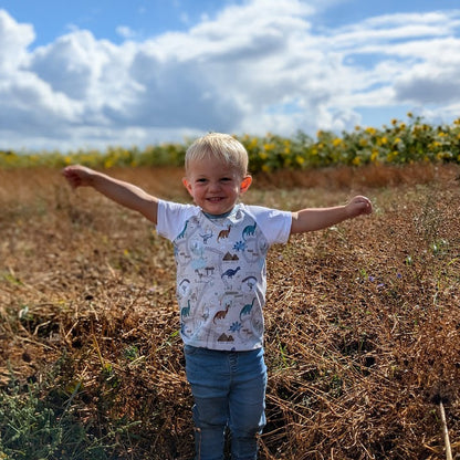 Children's T Shirt Dinasour Print  0-6yr