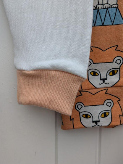 Children's Sweatshirt  Tigers or Carousel print -0-6 years