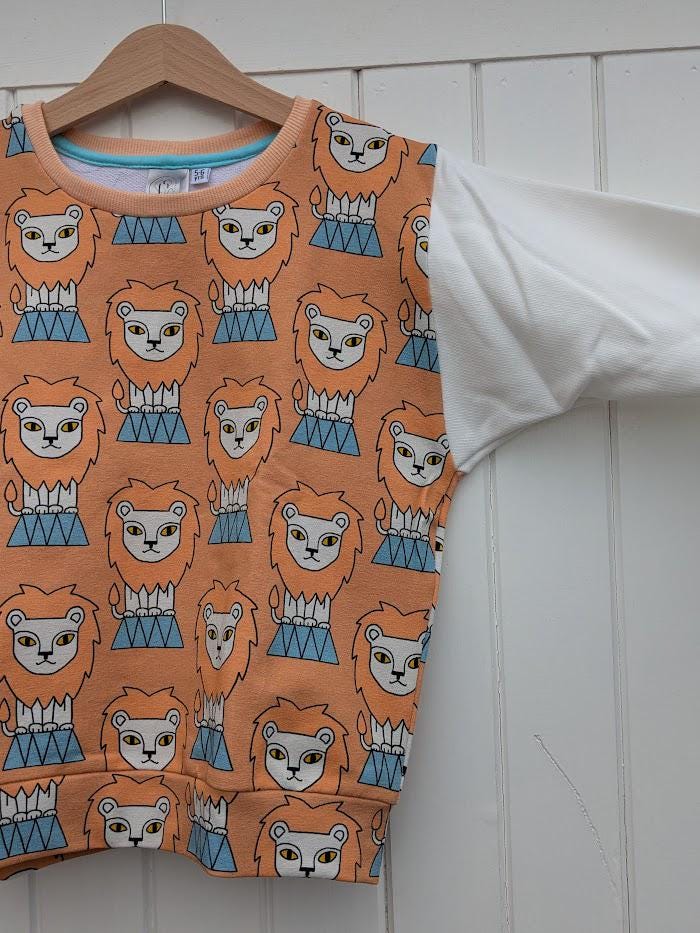 Children's Sweatshirt  soft cotton French Terry fabric In Tigers or Carousel print -0-6 years-Kid's-Gift